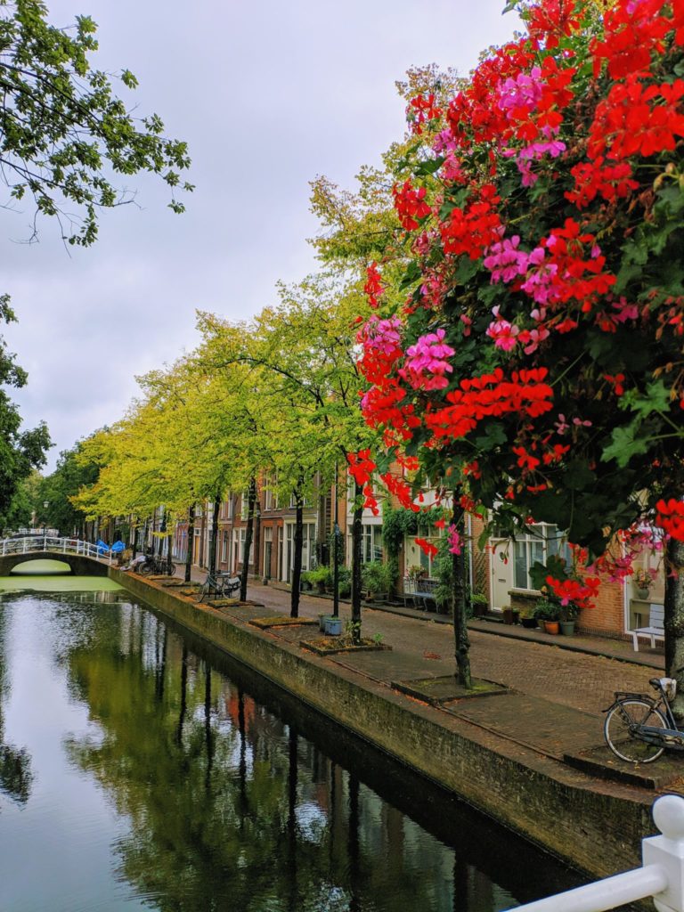 The view in Delft, a small city near Amsterdam.
